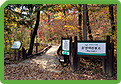 숲생태관찰로 (Eco - Trail) 이미지