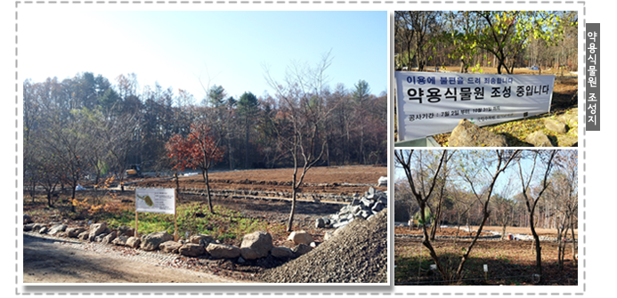 약용식물원 조성지