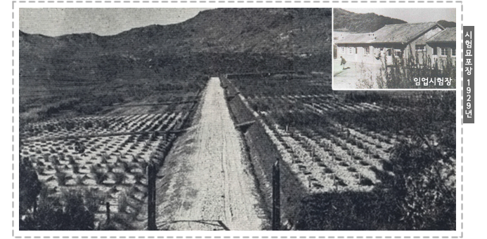 시험묘포장 1929년