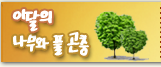 이달의나무와 풀 곤충 