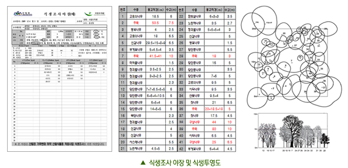 ▲식생조사 야장 및 식생투영도