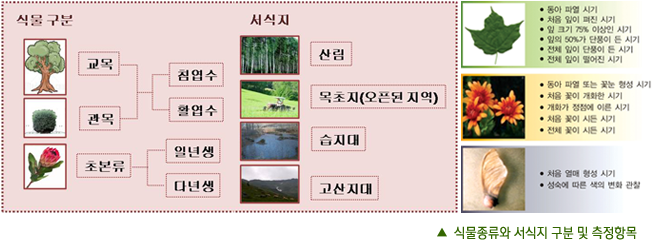 ▲식물종류와 서식지 구분 및 측정항목