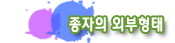 종자의 외부형태
