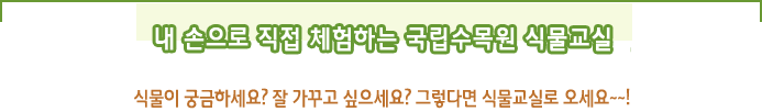 내 손으로 직접 체험하는 국립수목원 식물교실 식물이 궁금하세요? 잘 가꾸고 싶으세요? 그렇다면 식물교실로 오세요~~!
