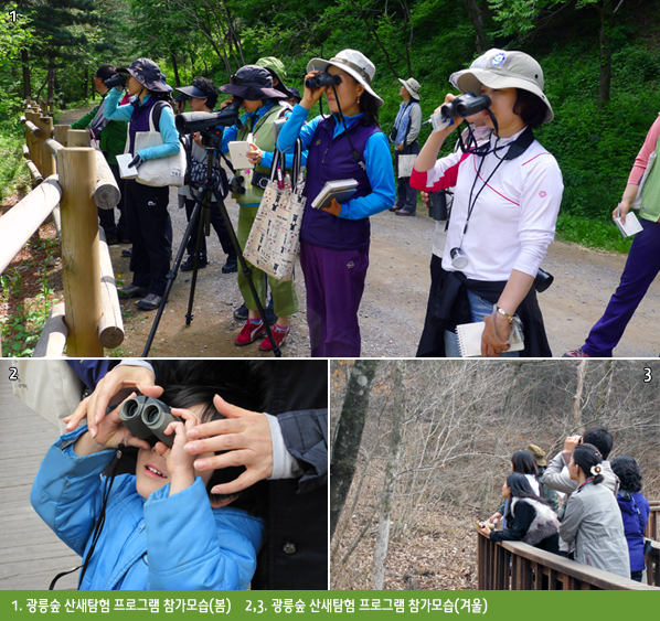 1. 광릉숲 산새탐험 프로그램 참가모습(봄)    2,3. 광릉숲 산새탐험 프로그램 참가모습(겨울)