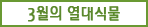 3월의 열대식물