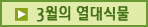 3월의 열대식물