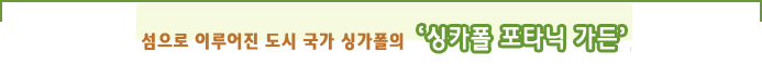 섬으로 이루어진 도시 국가 싱가폴의 “싱가폴 보타닉 가든” 