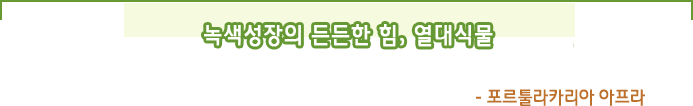 녹색성장의 든든한 힘,  열대식물- 포르툴라카리아 아프라