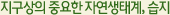 지구상의 중요한 자연생태계, 습지