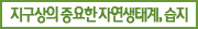 지구상의 중요한 자연생태계, 습지