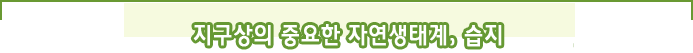 지구상의 중요한 자연생태계,  습지 