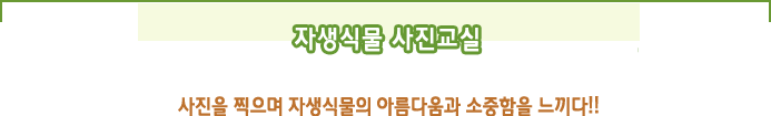 자생식물 사진교실  
사진을 찍으며 자생식물의 아름다움과 소중함을 느끼다!!
