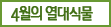 4월의 열대식물