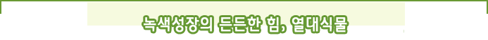 녹색성장의 든든한 힘, 열대식물