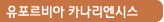 유포르비아 카나리엔시스