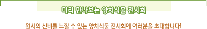 미리 만나보는 양치식물 전시회, 원시의 신비를 느낄 수 있는 양치식물 전시회에 여러분을 초대합니다!