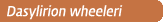 Dasylirion wheeleri