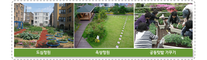 도심정원, 옥상정원, 공동텃밭 가꾸기