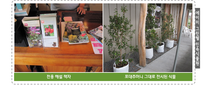 에이미 그린웰 민속식물원 
전용 해설 책자, 포대주머니 그대로 전시된 식물