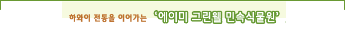 하와이 전통을 이어가는 「에이미 그린웰 민속식물원」