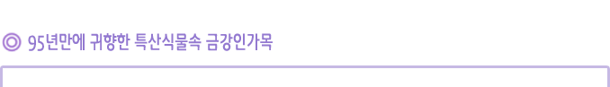 95년만에 귀향한 특산식물속 금강인가목