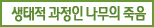 생태적 과정인 나무의 죽음
