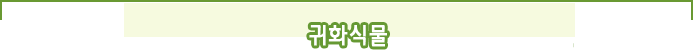 귀화식물