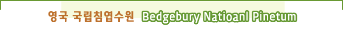 영국 국립침엽수원 「Bedgebury National Pinetum」