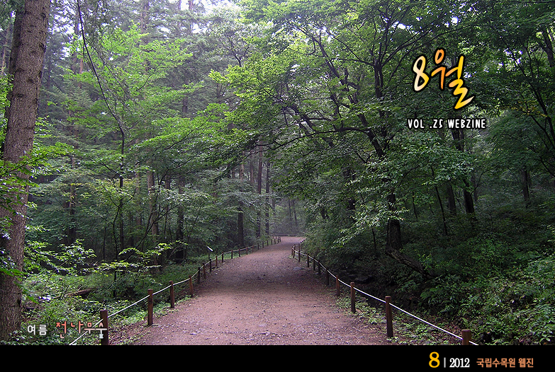 8월 VOL.25 WEBZINE 
국립수목원 겨울전시원
2012.8 국립수목원 웹진 