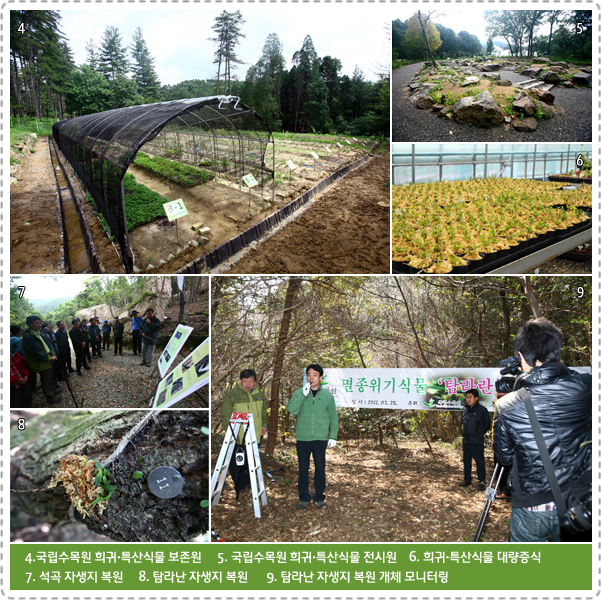 4.국립수목원 희귀·특산식물 보존원,     5. 국립수목원 희귀·특산식물 전시원,    6. 희귀·특산식물 대량증식 , 7. 석곡 자생지 복원,     8. 탐라난 자생지 복원,      9. 탐라난 자생지 복원 개체 모니터링   