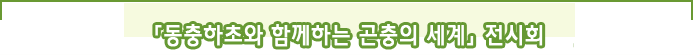 「동충하초와 함께하는 곤충의 세계」전시회