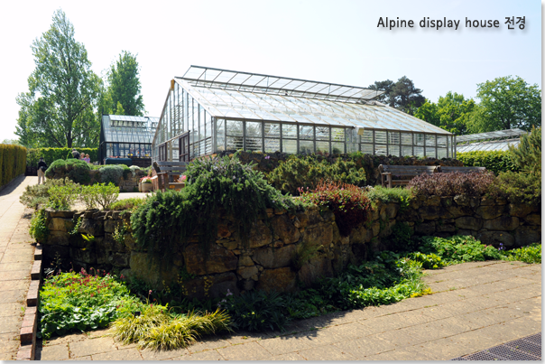 Alpine display house 전경