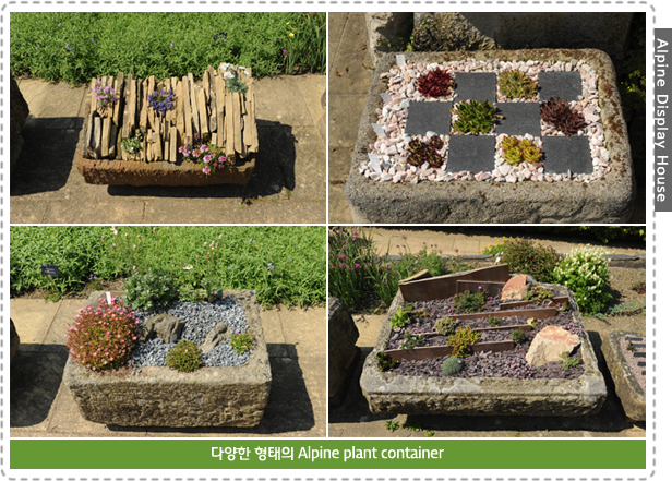 Alpine Display House-다양한 형태의 Alpine plant container