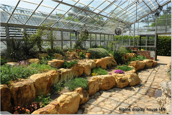 Alpine display house 내부