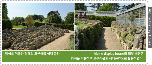 Alpine Display House-암석을 이용한 형태의 고산식물 식재 공간, Alpine display house의 외부 벽면은 암석을 이용하여 고산식물의 식재공간으로 활용하였다. 