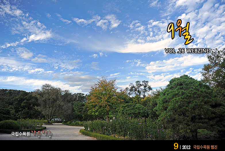 9월 VOL.26 WEBZINE 
국립수목원 가을하늘
2012.9 국립수목원 웹진 