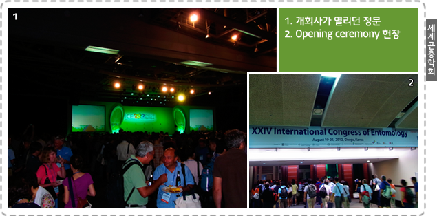 세계곤충학회, 1. 개회사가 열리던 정문,2. Opening ceremony 현장