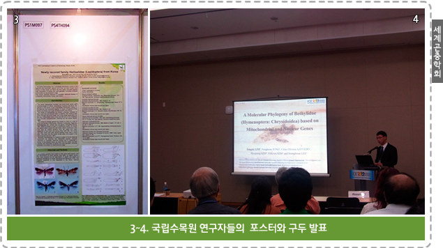 세계곤충학회 3~4. 국립수목원 연구자들의  포스터와 구두 발표 