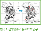 한국 자생생물종의 분포학적 연구 