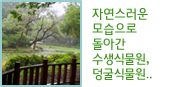 자연스러운모습으로 돌아간 수생식물원,덩굴식물원..