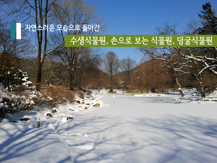 자연스로운 모습으로 돌아간 수생식물원, 손으로 보는 식물원, 덩굴식물원