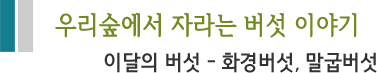 우리숲에서 자라는 버섯 이야기 이달의 버섯 - 화경버섯, 말굽버섯 