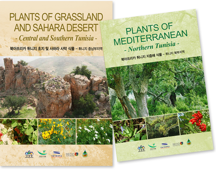 plants of grassland and sahara desert -contral and southern tunisia- 북아프리카 튀니지 초지 및 사하라 사막 식물 - 튀니지 중남부지역-, plants of medierranean -northern tunisia- 북아프리카 튀니지 지중해 식물 - 튀니지 북부지역