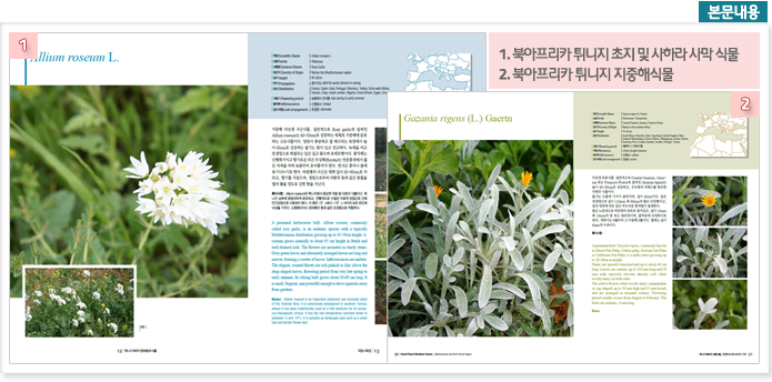 본문내용 1.북아프라카튀니지 초지 및 사하라 사막 식물, 2.북아프리카 튀니지 지중해식물
