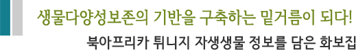 생물다양성보존의 기반을 구축하는 밑거름이 되다! 북아프리카 튀니지 자생생물 정보를 담은 화보집” 
