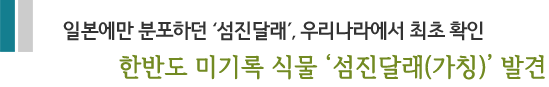 일본에만 분포하던 ‘섬진달래’, 우리나라에서 최초 확인 한반도 미기록 식물 '섬진달래(가칭)' 발견