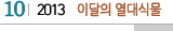 10 2013 이달의 열대식물