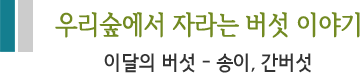 우리숲에서 자라는 버섯 이야기 이달의 버섯 - 송이, 간버섯