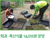 희귀·특산식물 14,000본 분양